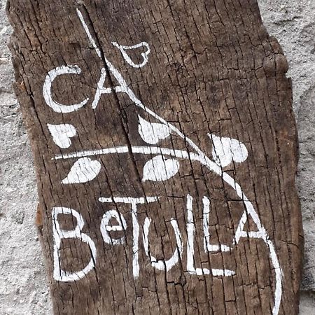 Ca Betulla Villa Novate Mezzola Ngoại thất bức ảnh